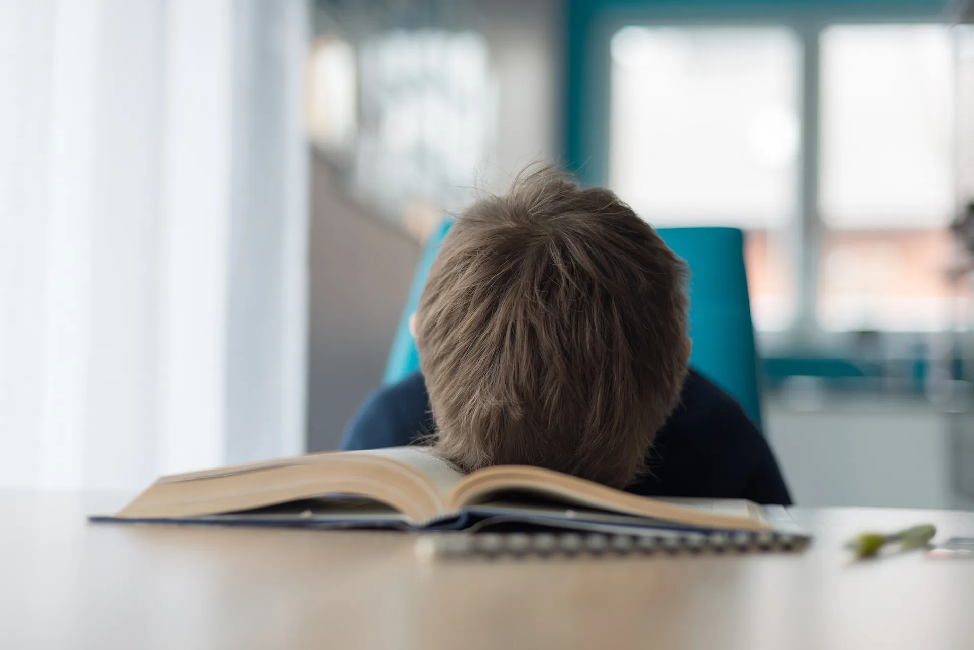 educação inclusiva não funciona